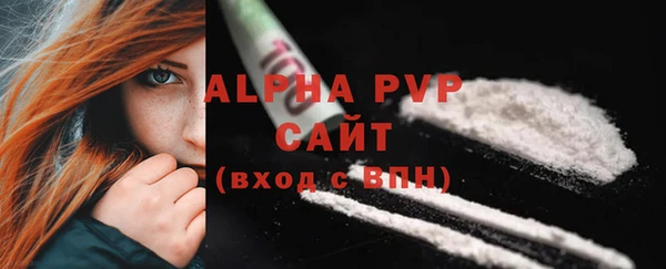 гашик Михайловск