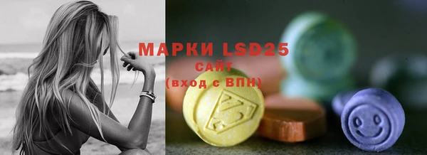 гашик Михайловск