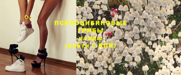 гашик Михайловск
